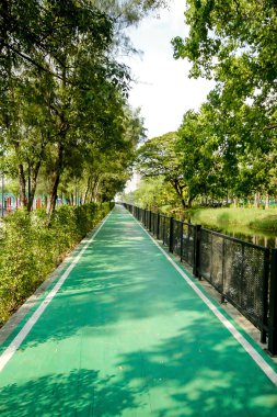 Parkta bisiklet için Lane.