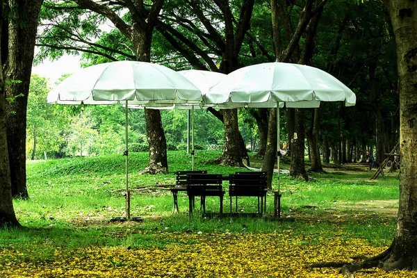 Chaise Parasols Blancs Dans Parc — Photo