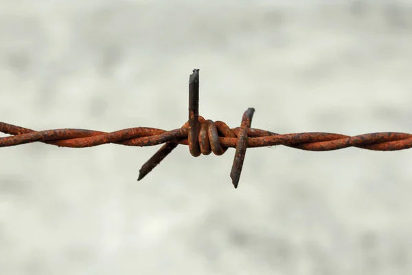 Old Barbed Wire Rusted Fence — Stock Photo, Image