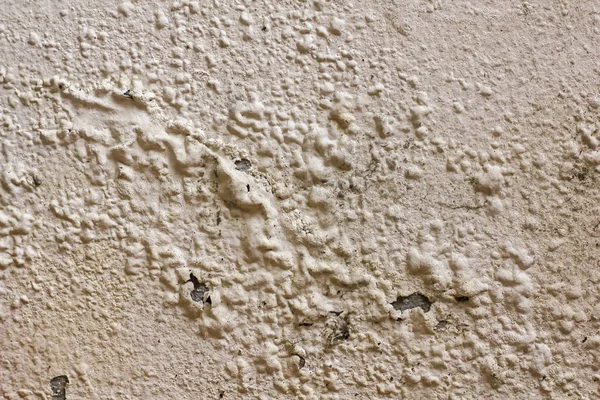 Старая Цементная Стена Отшелушиванием Краски — стоковое фото