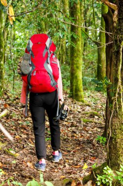 Backpackers tepede yürüyor.
