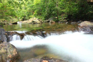Doğada küçük bir şelale.