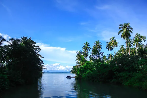 Deniz manzarası, gökyüzü, hindistan cevizi