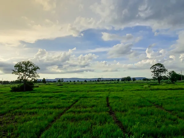 Felder Abendhimmel Landschaft — Stockfoto