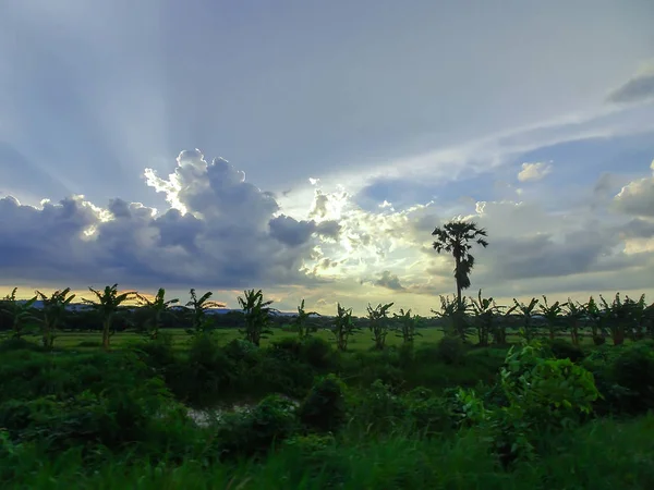 Felder Abendhimmel Landschaft — Stockfoto