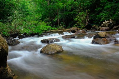 Doğada kayaların üzerinden akan küçük şelale.