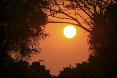 Günbatımı ve ağaç dalları siluetleri.