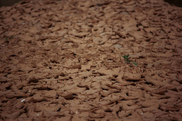 Popękana Gleby Lecie — Zdjęcie stockowe