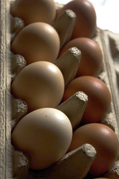 Багато Яєць Паперових Коробках — стокове фото