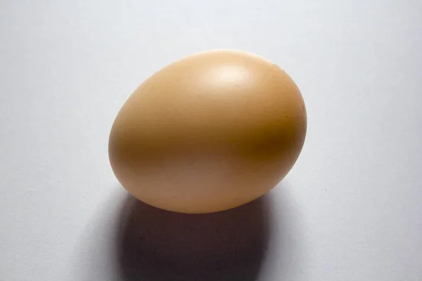 Coloca Huevo Suelo Blanco Reflectante — Foto de Stock