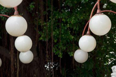  Kırmızı ayağı park olarak beyaz lamba 