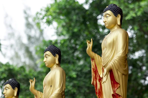 Estatua Buda Oro — Foto de Stock