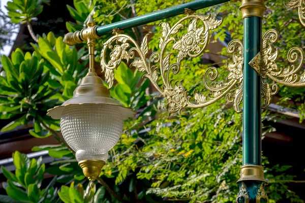 Tay Desenli Altın Lamba — Stok fotoğraf