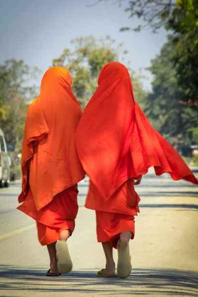 Les Novices Marchent Dans Rue — Photo