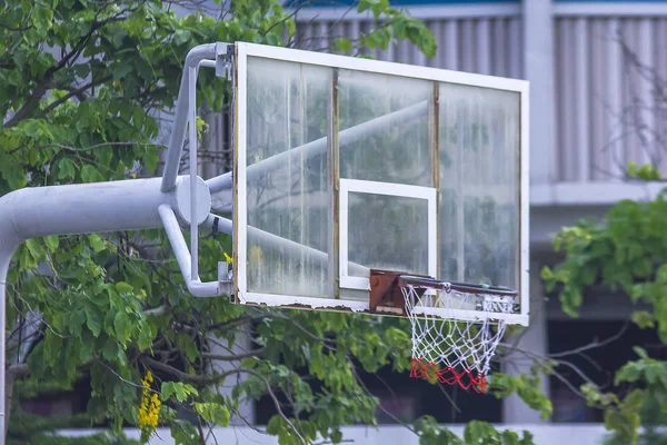 Basketball Cerceau Près Arbre — Photo