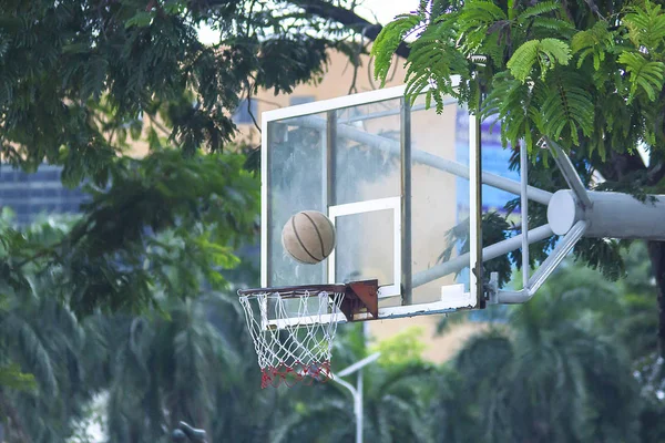 Basketbalový Koš Poblíž Stromu — Stock fotografie