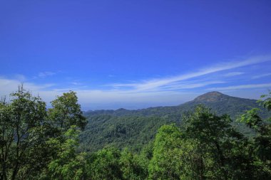 Dağ ağaçlar, doğal gökyüzü