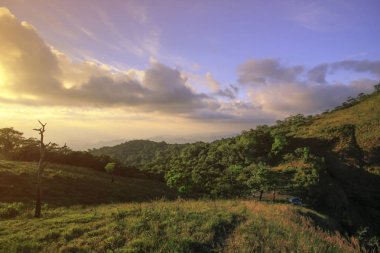 Sabah güneşin turuncu ışık.