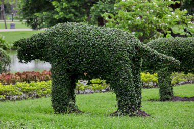 Hayvan park olarak ağaç süsleme.