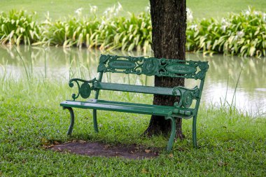 Bir ağacın altında bir parkta sandalye