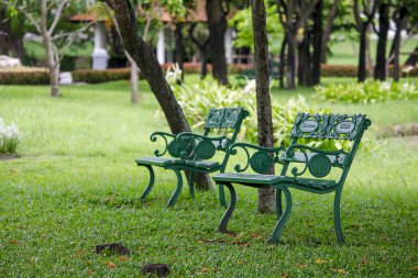 Bir ağacın altında bir parkta sandalye