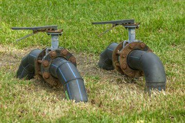 Kelebek Vana'nın bahçesinde.