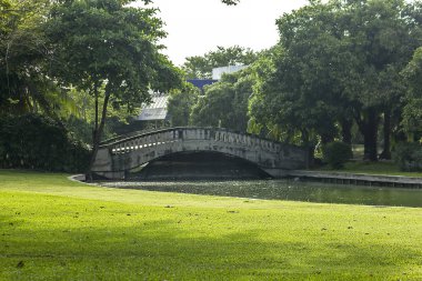 Parkta su üzerinde köprü.