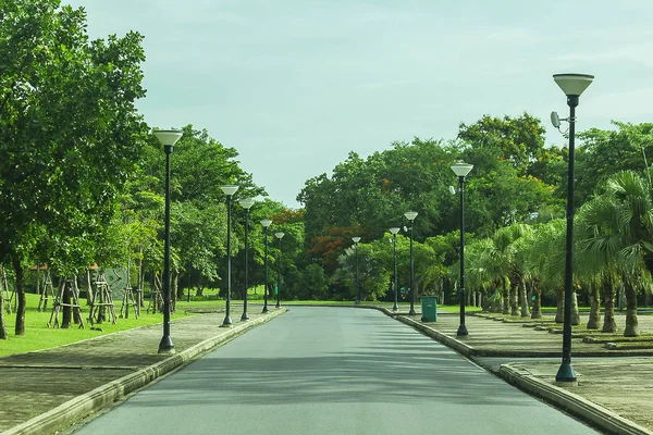 Park elektrik direğine.