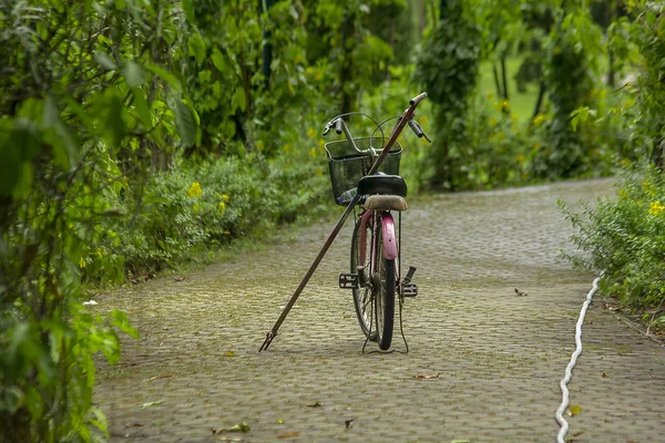 Stary Rower Czerwony Zaparkowany Parku — Zdjęcie stockowe