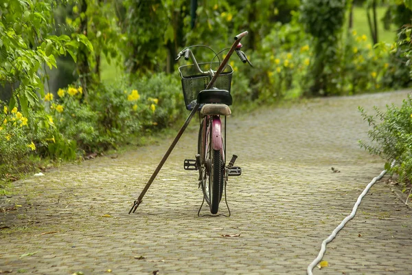 Stary Rower Czerwony Zaparkowany Parku — Zdjęcie stockowe