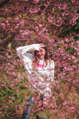 Woman under the tree with beautiful pink.