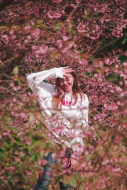 Woman under the tree with beautiful pink.
