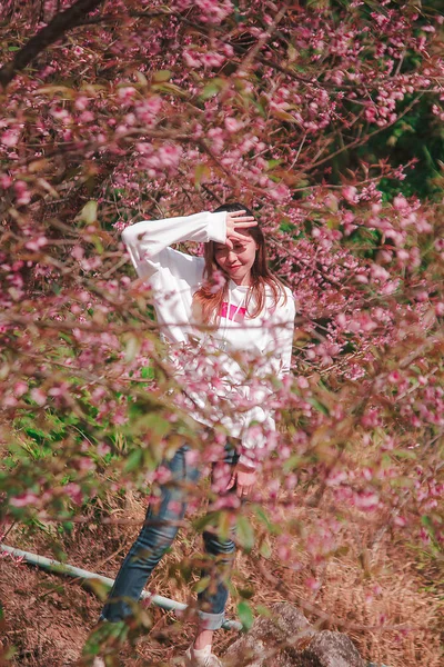 Woman under the tree with beautiful pink.