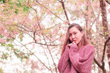Women standing under the trees that bloom pink, beautiful in winter.