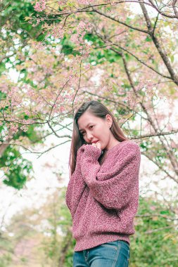 Women standing under the trees that bloom pink, beautiful in winter.