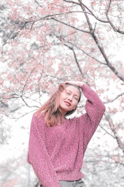 Women standing under the trees that bloom pink, beautiful in winter.