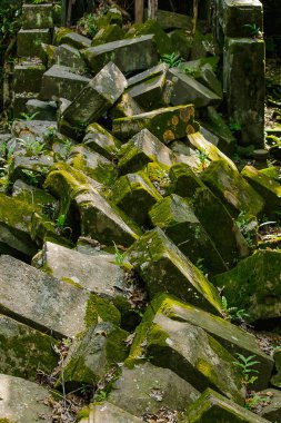 Kamboçya eski kale tuğla üzerinde yosun ve eğrelti otu