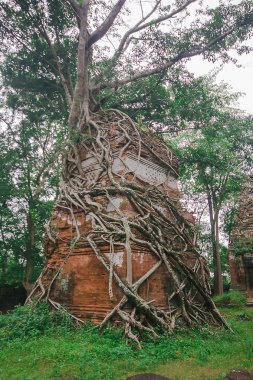 Kökleri Kamboçya eski kale kapağı.