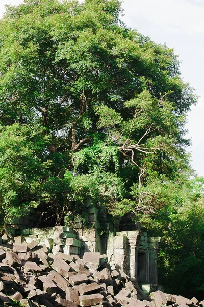 Замок Бунг Мемба Королевство Кхмеров Прошлом Которое Рухнуло — стоковое фото