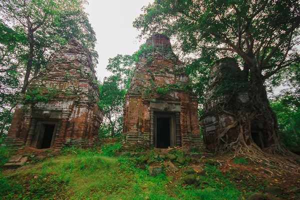 根覆盖柬埔寨的古城堡 — 图库照片