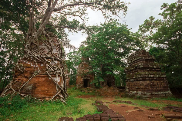 Корни Покрывают Старый Замок Камбоджи — стоковое фото