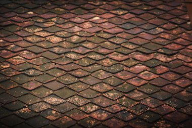 Yosun ile çatıda eski kil kiremit