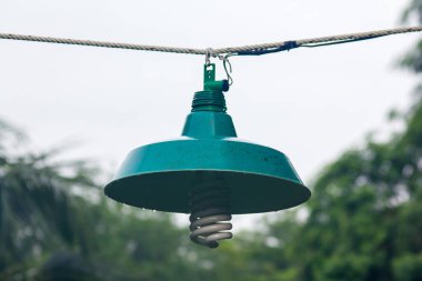 Eski yeşil fenerler halatlar ve yağmur ile ıslak asılı.