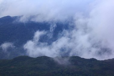Yağmurdan sonra sis dağların üzerinde hareket etti..