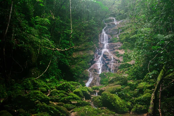 Una Pequeña Cascada Bosque Belleza Natural Los Creó —  Fotos de Stock