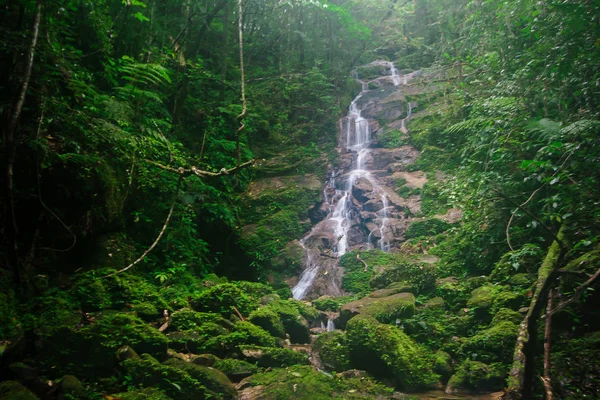 Ormanda Küçük Bir Şelale Doğal Güzellikonları Yarattı — Stok fotoğraf
