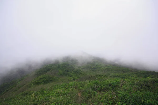 雨后雾在山上移动 — 图库照片