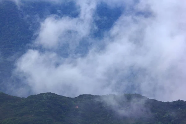 Der Nebel Zog Nach Dem Regen Über Die Berge — Stockfoto