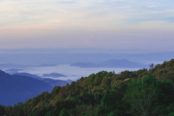 霧の山の朝の風景が森を覆う — ストック写真