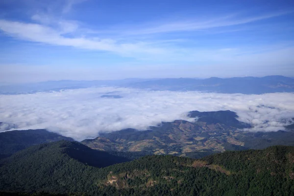 Paisaje Del Bosque Cubierto Niebla Alta Montaña —  Fotos de Stock